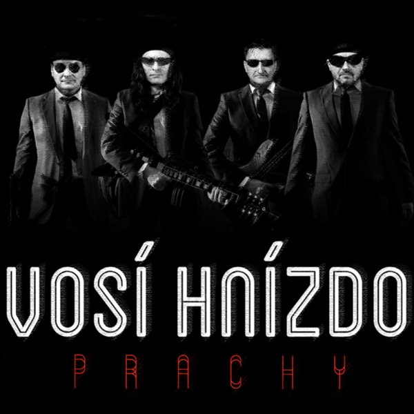 Vosí hnízdo